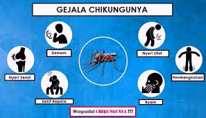 Wabah Chikungunya Melanda Jantiharjo